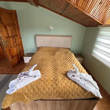 Hotel Evali Kemer